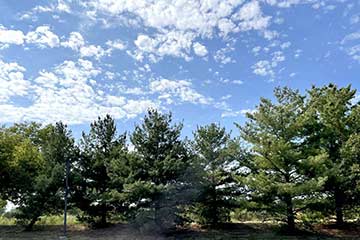 Senior Apartments in Bonner Springs Kansas